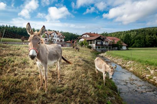 Tourist Farm Hudicevec