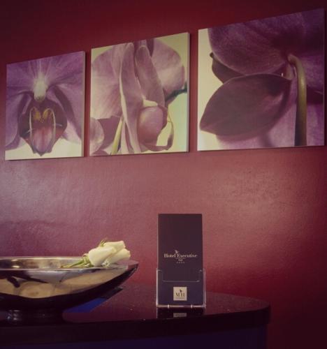 Hotel Executive Forlì