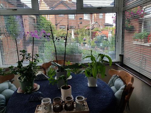 CEAD MILE FAILTE WEST BELFAST