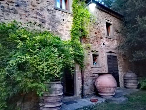 Agriturismo Frantoio Valiani