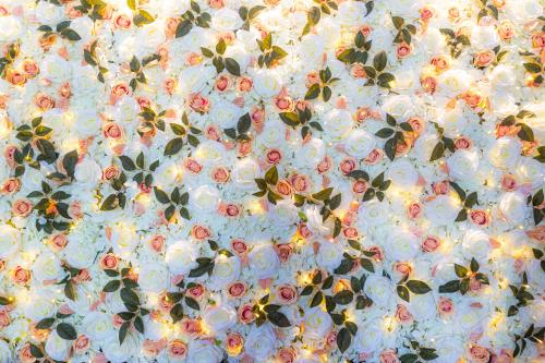 Cook’s of Stirling