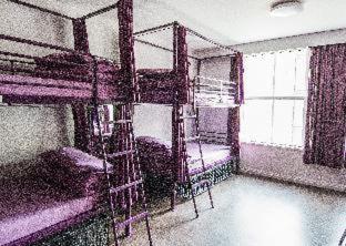 Safestay London Elephant & Castle - Hostel