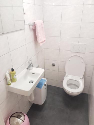 Friendly Hostel Zuerich