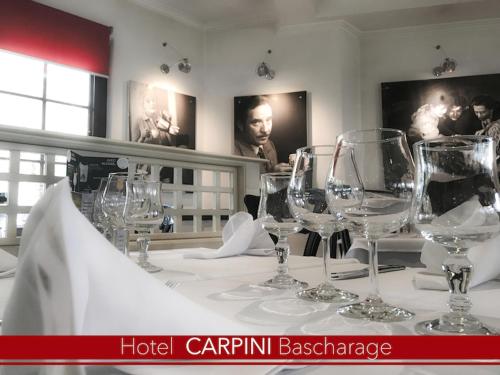 Carpini