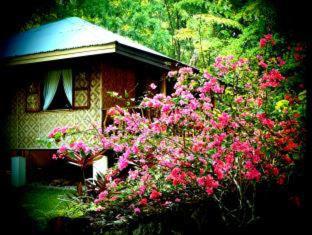 Nypa Style Resort Camiguin