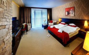 Wellnesshotel Chopok