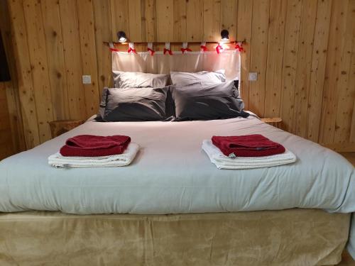 Chalet Le Bois Joli