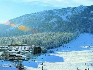 Hotel Alpina