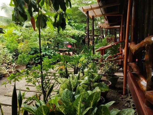 Bing Vice Tourist Inn