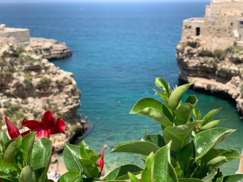 Posea Polignano Sea Suites