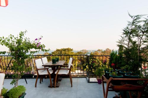 Istanbul Queen Seagull