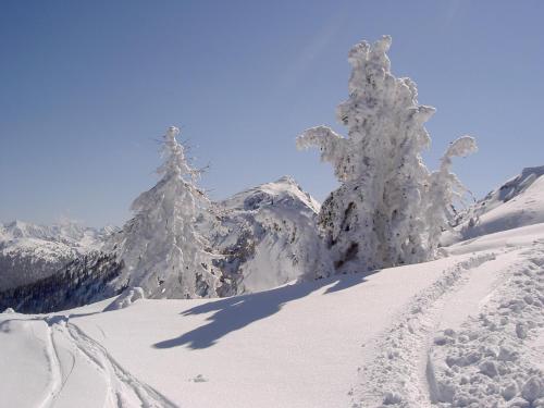Gastehaus Purstl-Kocher