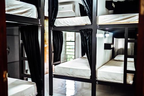 Island Brasserie Bed and Breakfast