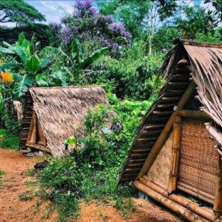 Ecocio Jungle Hostel