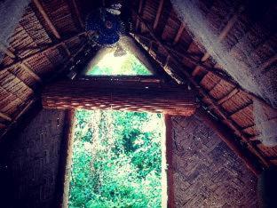 Ecocio Jungle Hostel