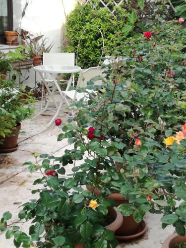 Bed And Breakfast Le Ortensie