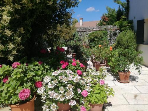 Bed And Breakfast Le Ortensie