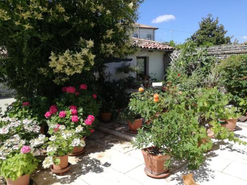 Bed And Breakfast Le Ortensie
