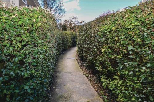 Appartement des amoureux