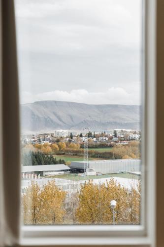 Reykjavik Lights