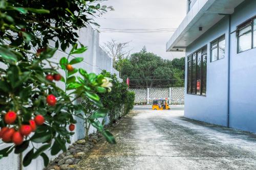 Hotel Aroha