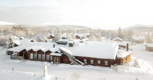 Ylläshumina