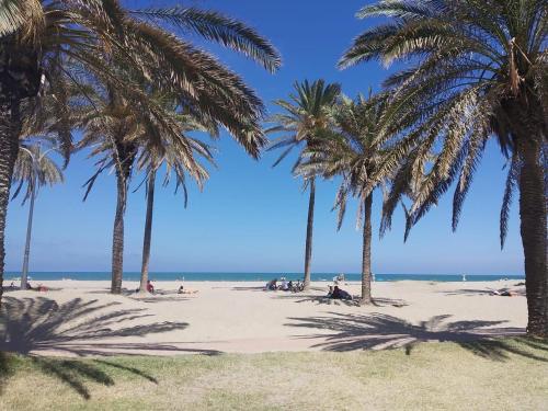 Banana Beach Patacona