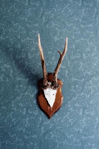 Åre Bed and Breakfast