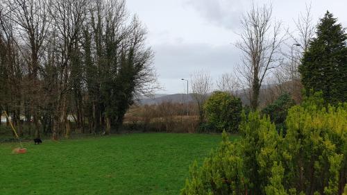Trem Hyfryd Guest House