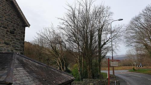 Trem Hyfryd Guest House