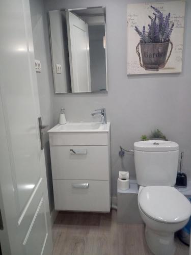 Mirador Catedral De Santiago