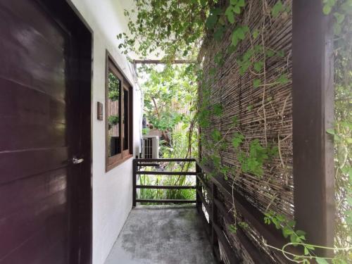 Vivo Inn Siargao