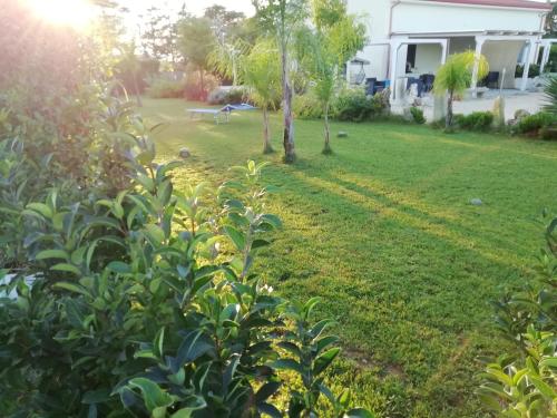 Il Giardino D'Oriente