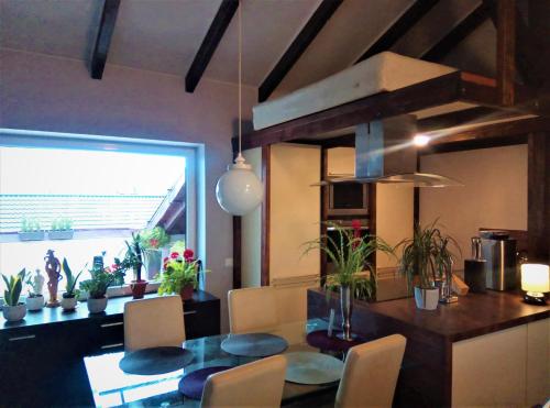 Apartamenty Zacisze
