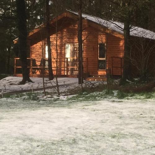 Butterfly Cabin