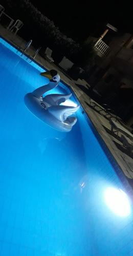 Natasha's Apartments