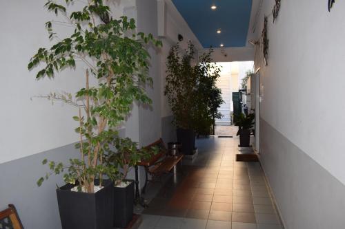 Alena Apartments