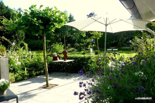 Bed And Breakfast Valckenbosch