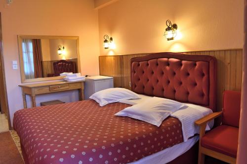 Hotel Asteri Metsovo