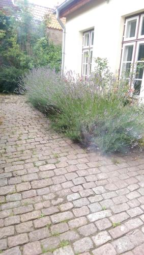 Apartments im Einhornhaus