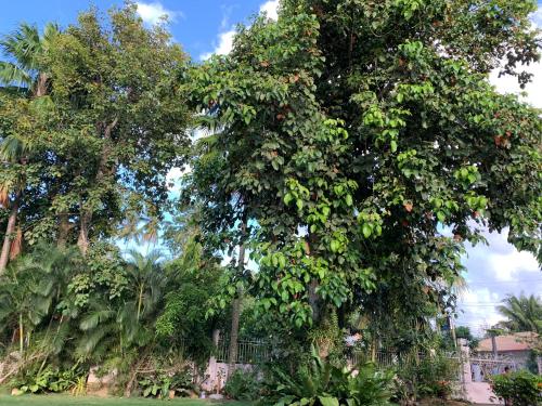 Powers Holiday vacations