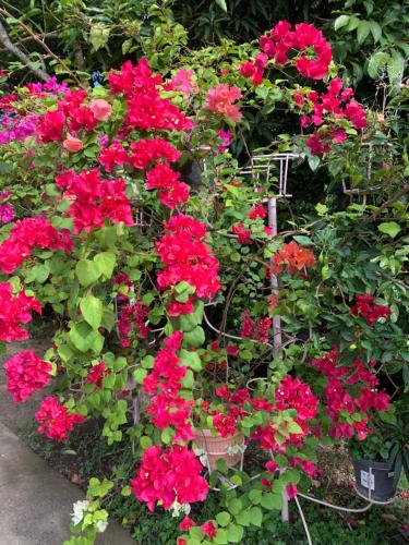 Powers Holiday vacations