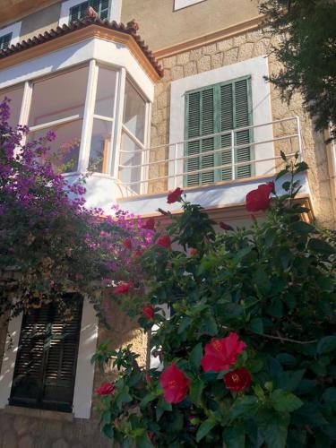 Sol Port Soller