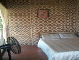 Toris Backpackers Paradise