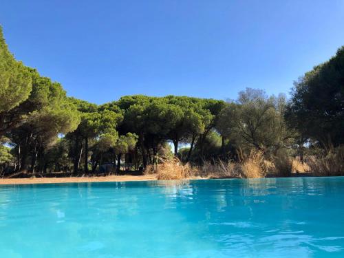 Finca miCielo