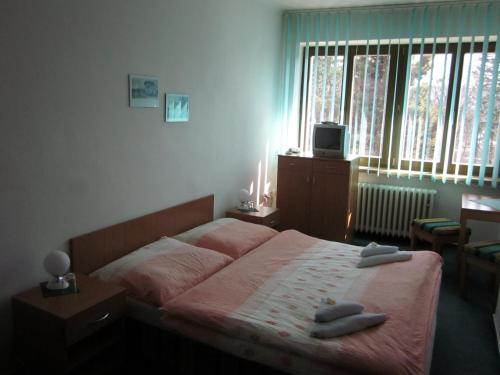 Hotel Forman