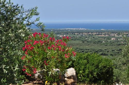 Agriturismo Masseria Spetterrata