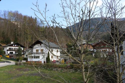 Wolf & Schaf Apartments