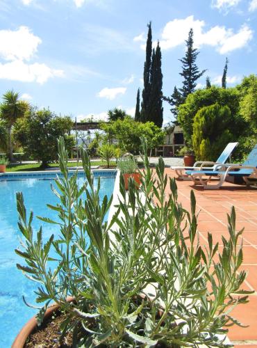 Escuela la Crujia Bed and Breakfast