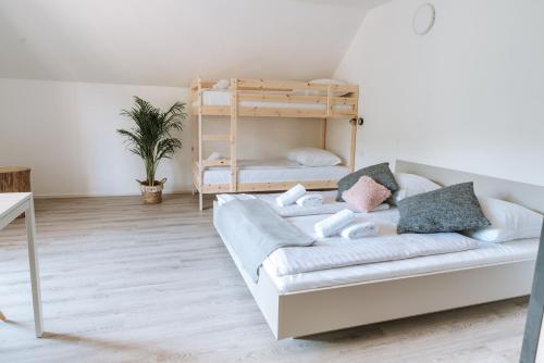 Apartmaji Triglav